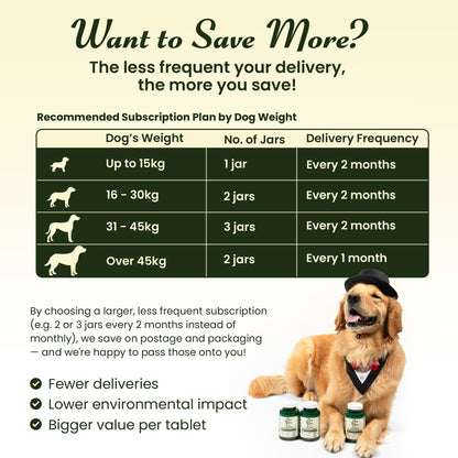 Advanced Hip & Joint Support