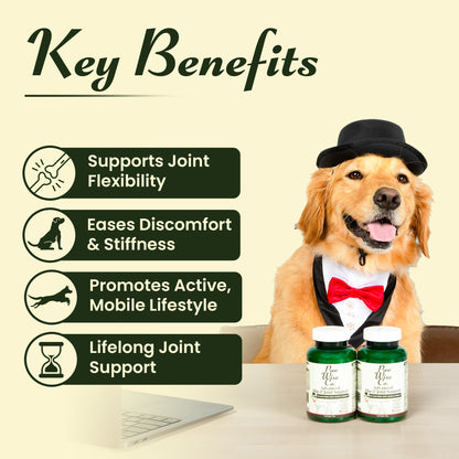 Advanced Hip & Joint Support