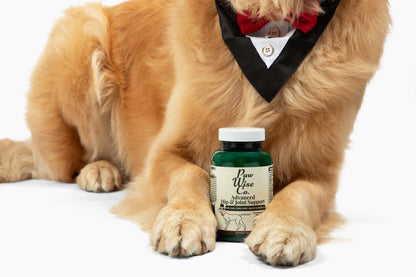 Advanced Hip & Joint Support